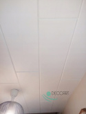 Deckenplatten Weiße Bretter 100x16,7 cm P08